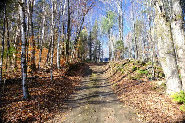 $109,000 | 592 Vertical Mile Road, Wheelock, VT 05851