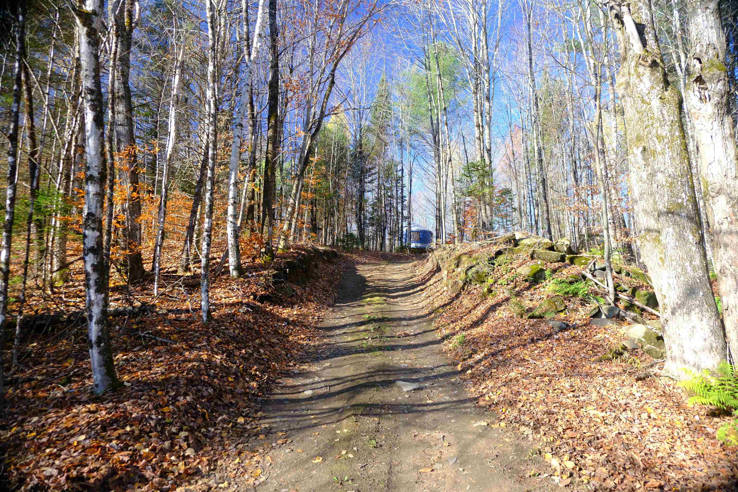 592 Vertical Mile Road Wheelock, VT 05851 - Photo 12 of 27