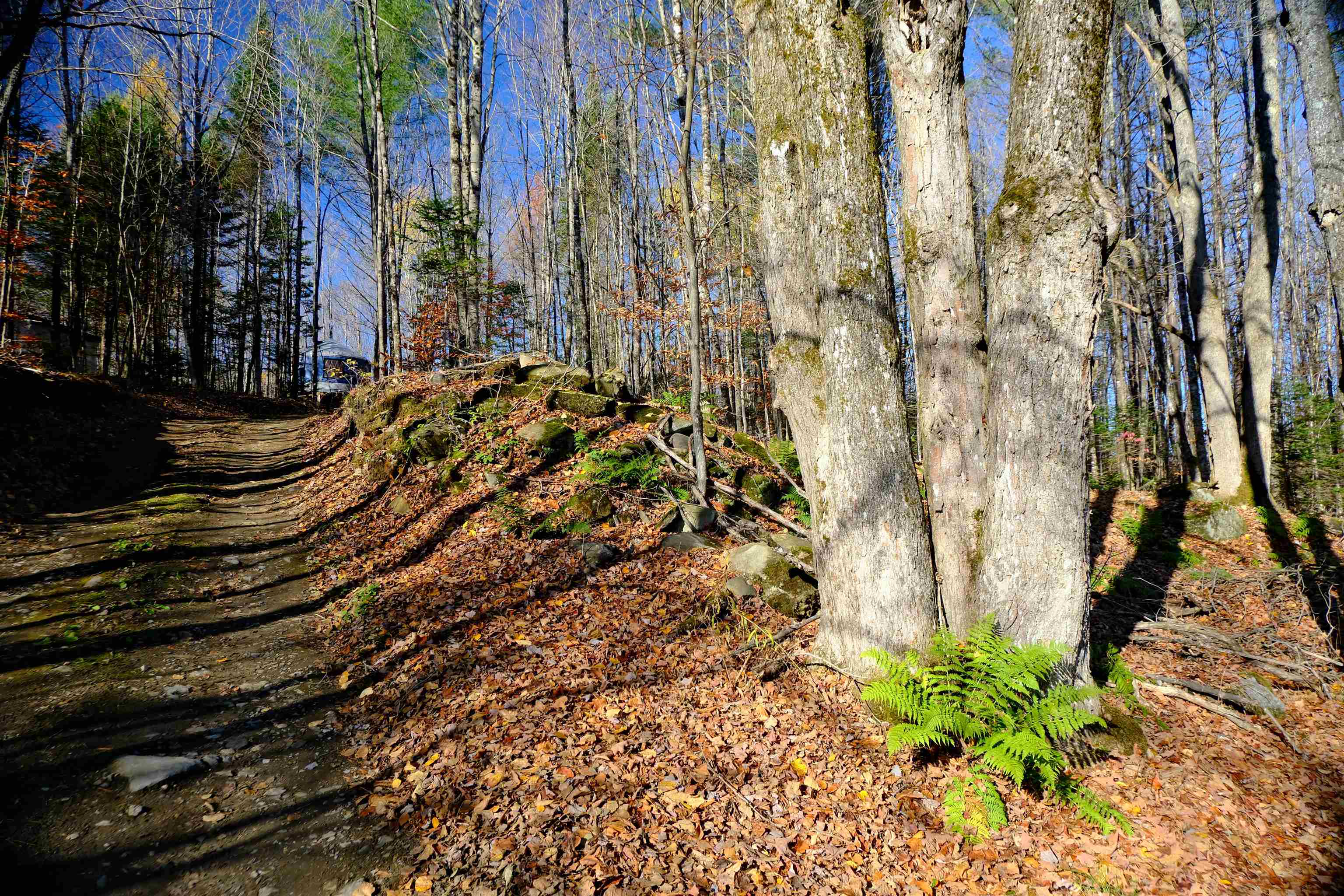 592 Vertical Mile Road Wheelock, VT 05851 - Photo 15 of 27