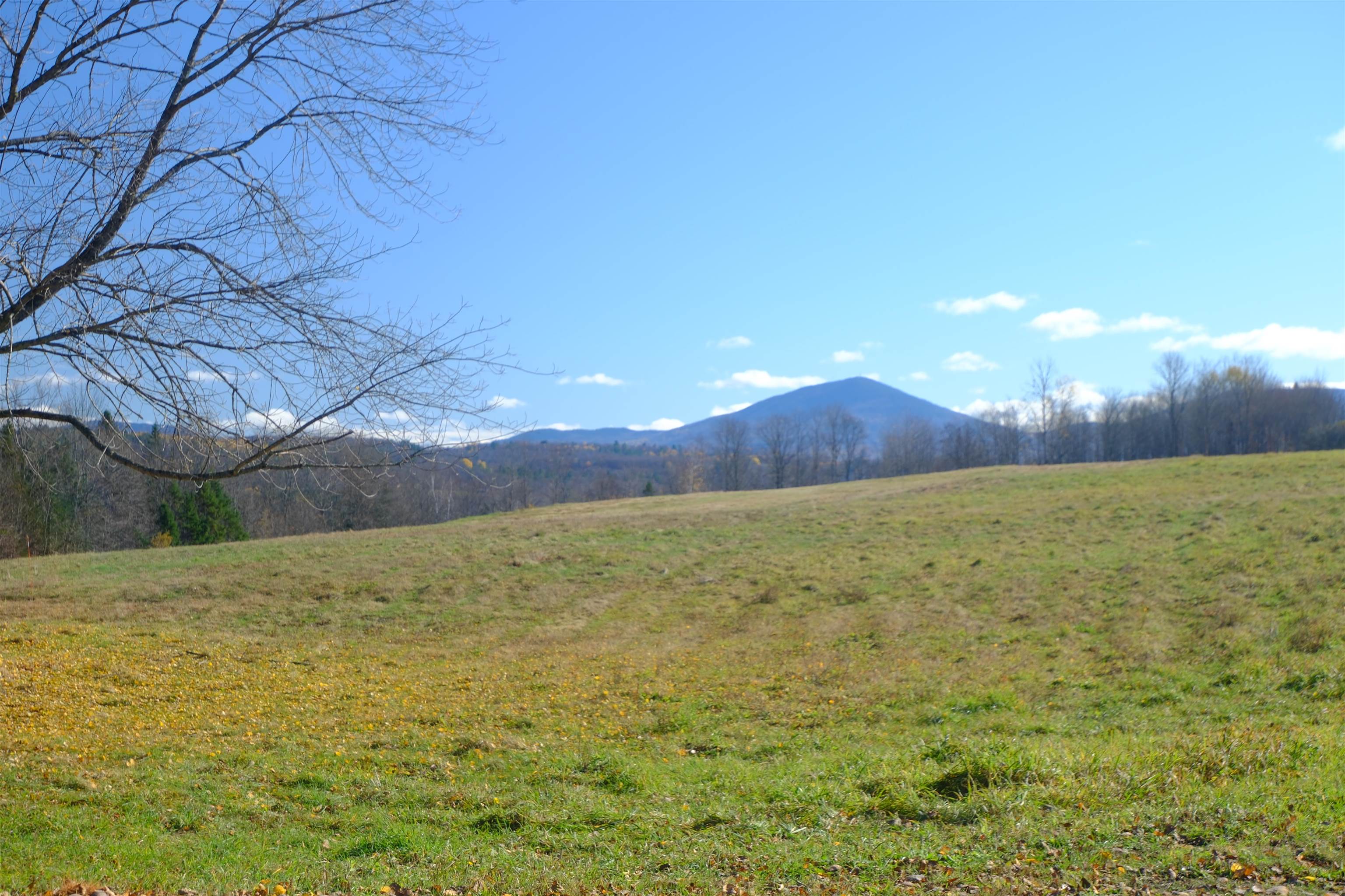 592 Vertical Mile Road Wheelock, VT 05851 - Photo 2 of 27