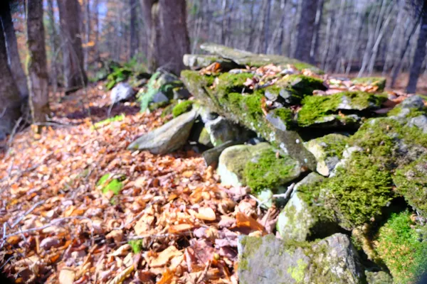 $109,000 | 592 Vertical Mile Road, Wheelock, VT 05851