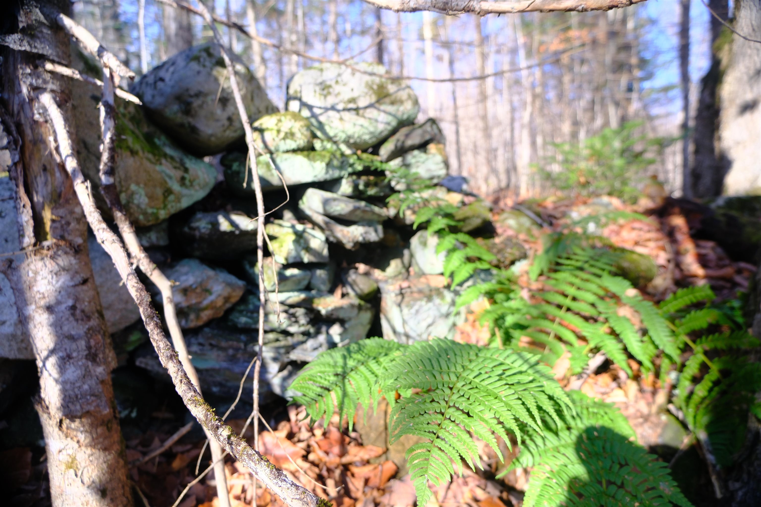 592 Vertical Mile Road Wheelock, VT 05851 - Photo 6 of 27