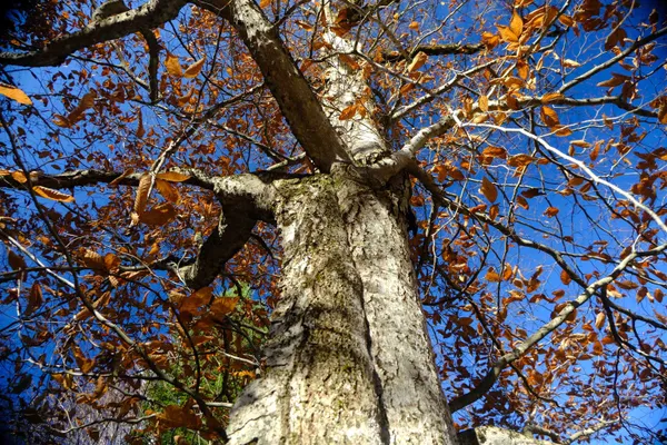 $109,000 | 592 Vertical Mile Road, Wheelock, VT 05851