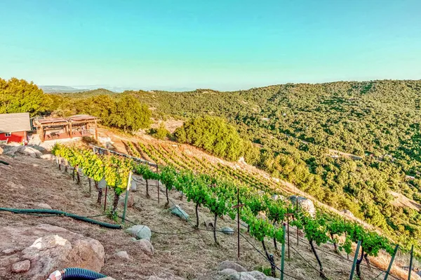 $775,000 | 50806 Bramble Lane, Squaw Valley, CA 93675