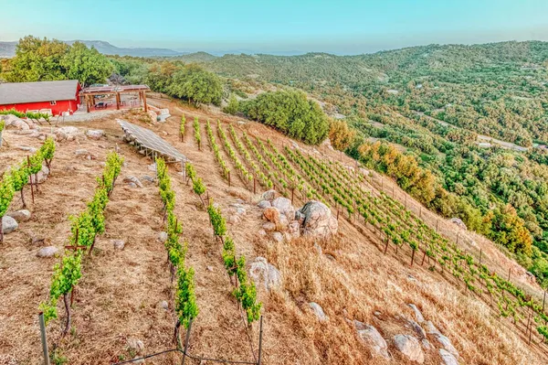 $775,000 | 50806 Bramble Lane, Squaw Valley, CA 93675