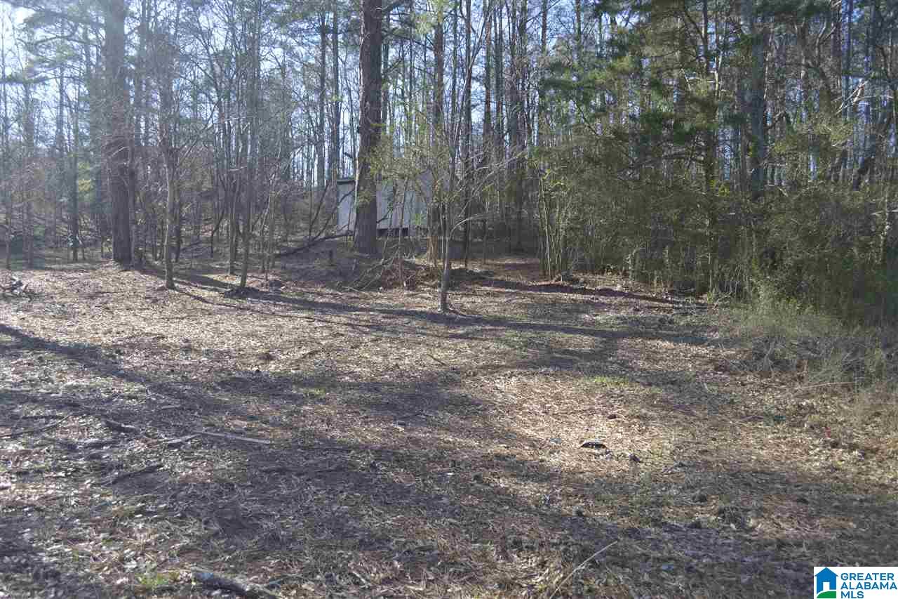 1845 Pelham Road South, Unit VACANT LOT Jacksonville, AL 36265 - Photo 10 of 11