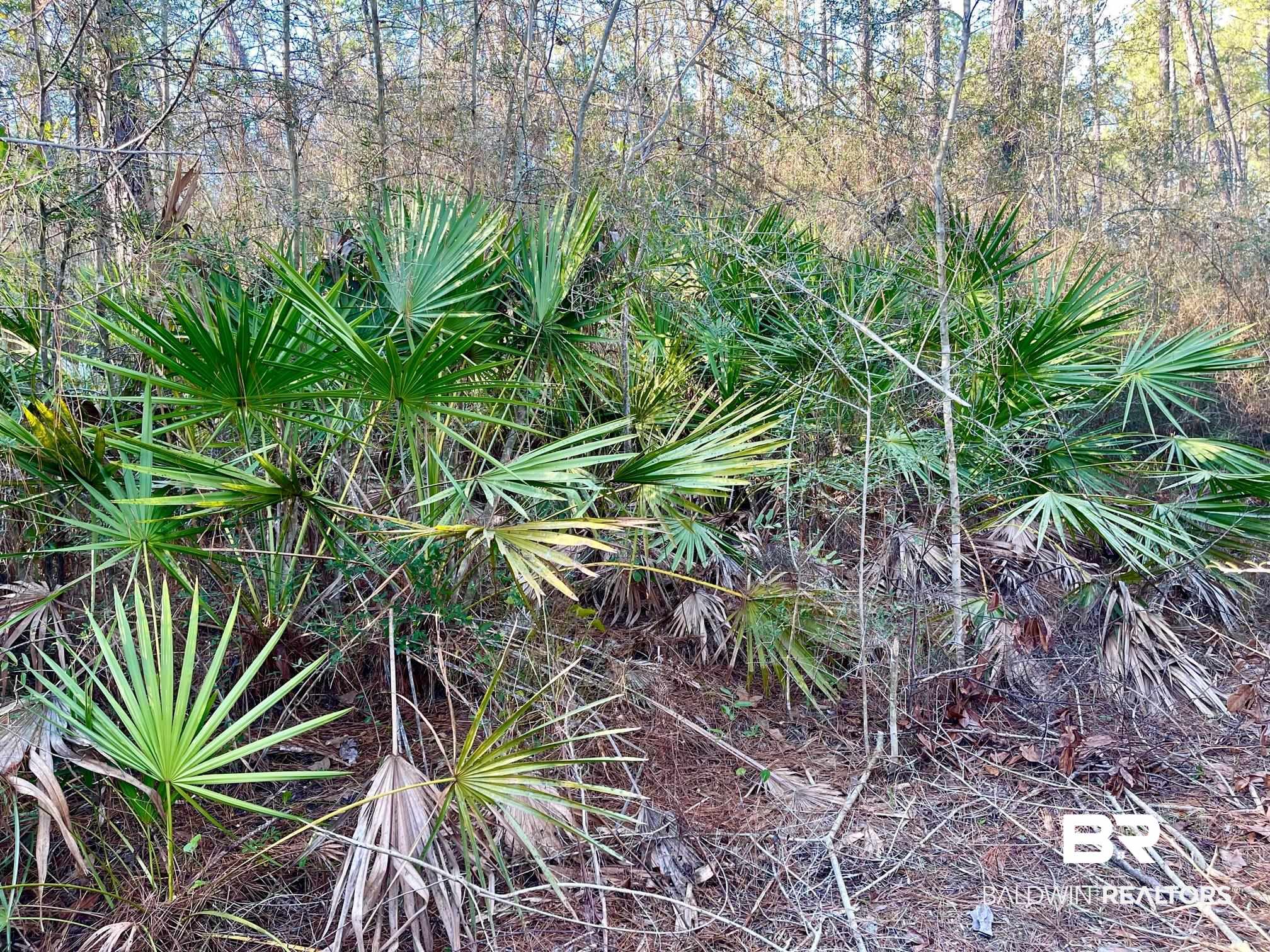 30147 Gardner Road Elberta, AL 36530 - Photo 7 of 28