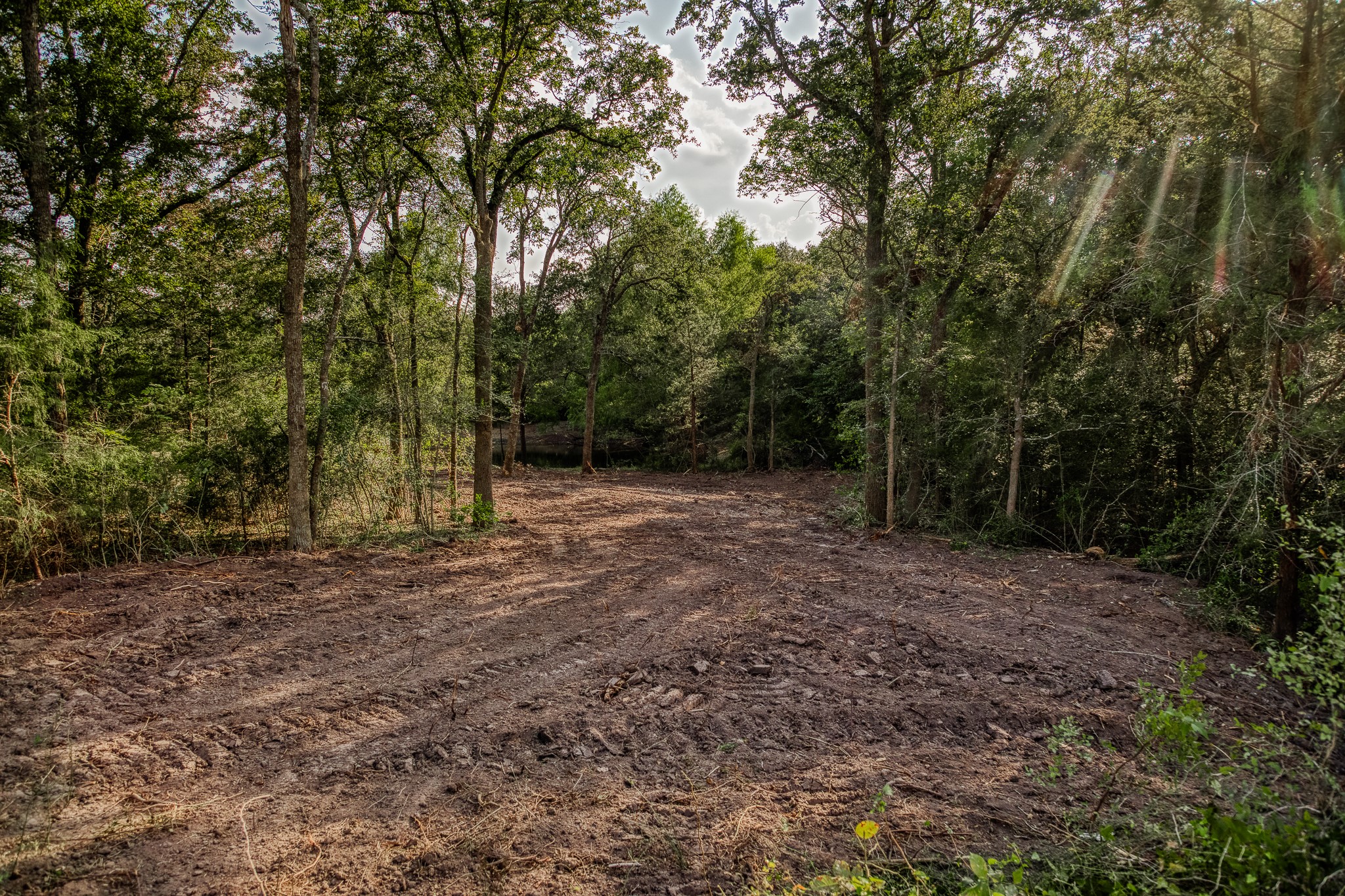 6 Sun Oil Road Brenham, TX 77833 - Photo 11 of 34 a view of a forest with trees in the background