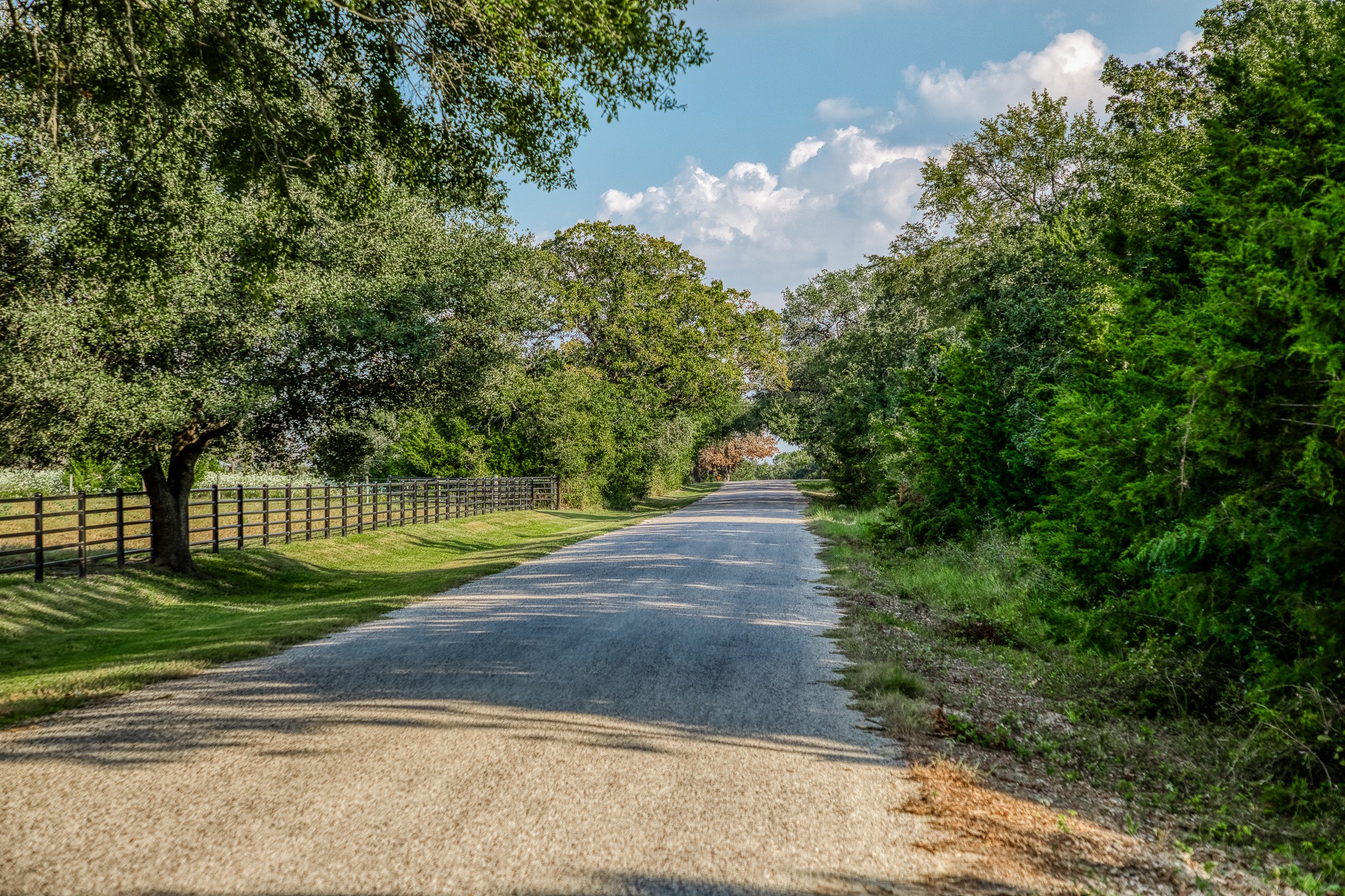 6 Sun Oil Road Brenham, TX 77833 - Photo 12 of 34 a view of a park with large trees