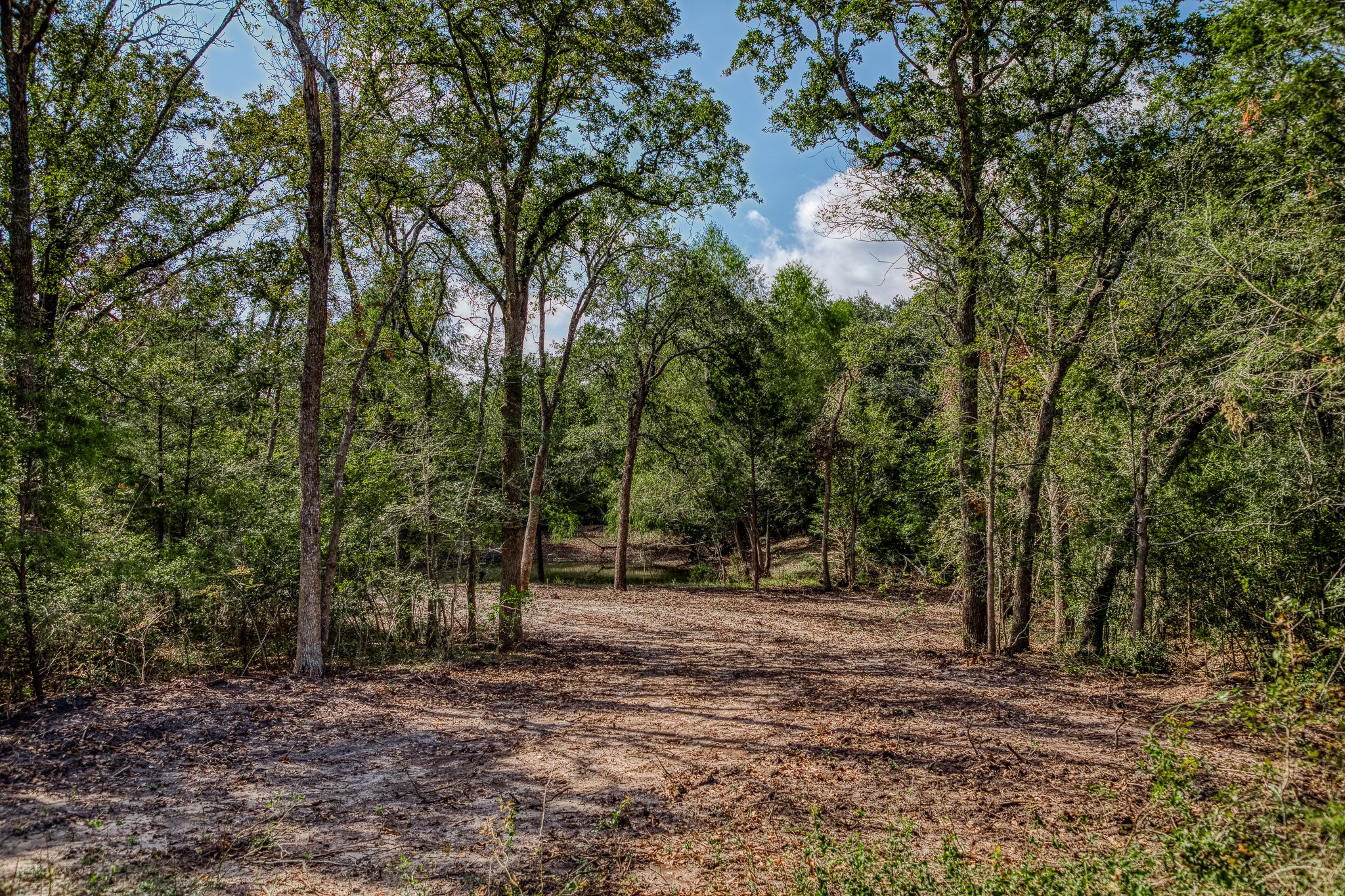 6 Sun Oil Road Brenham, TX 77833 - Photo 13 of 34 a view of outdoor space with trees