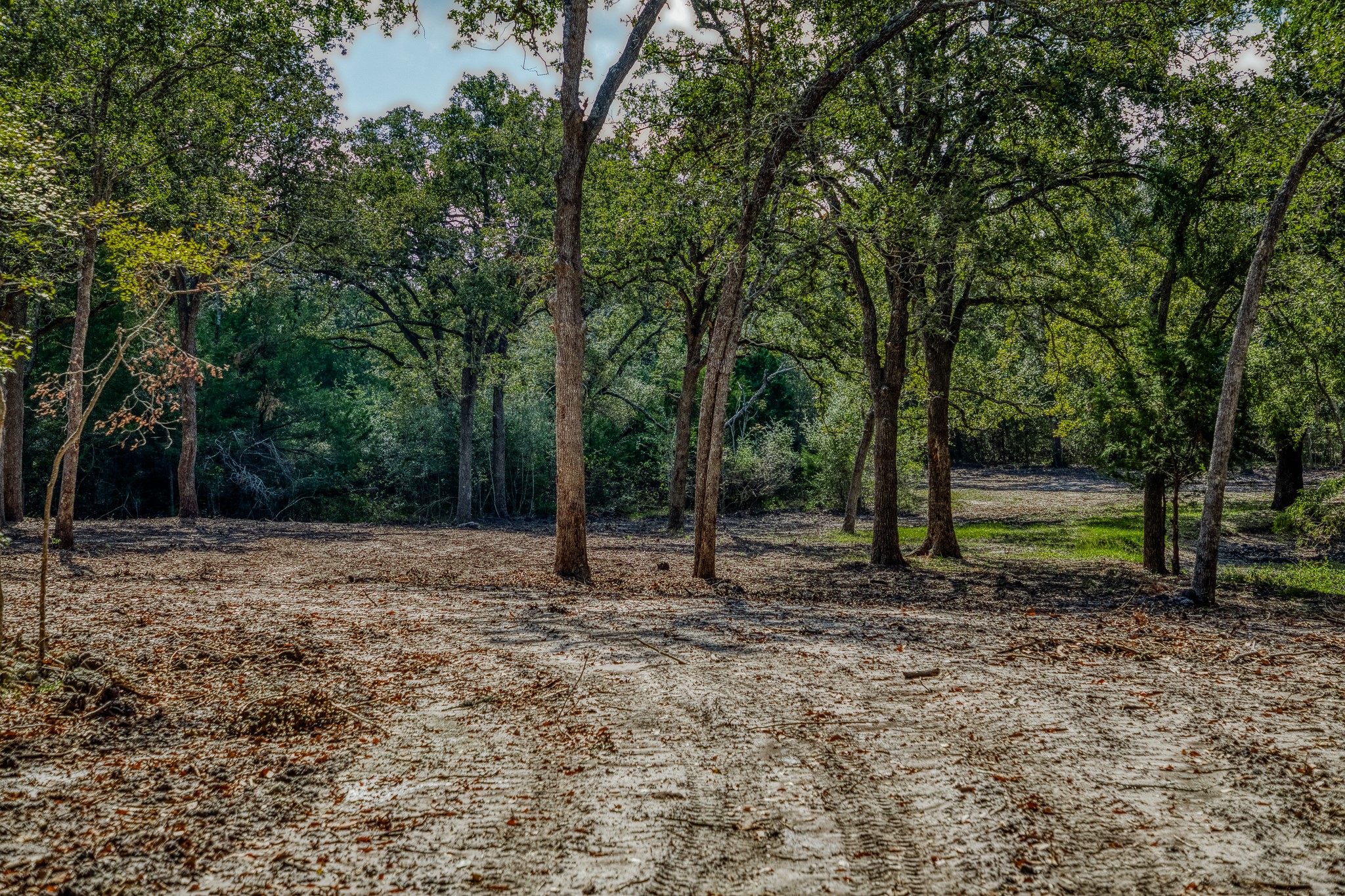 6 Sun Oil Road Brenham, TX 77833 - Photo 15 of 34 a backyard of a house with lots of trees