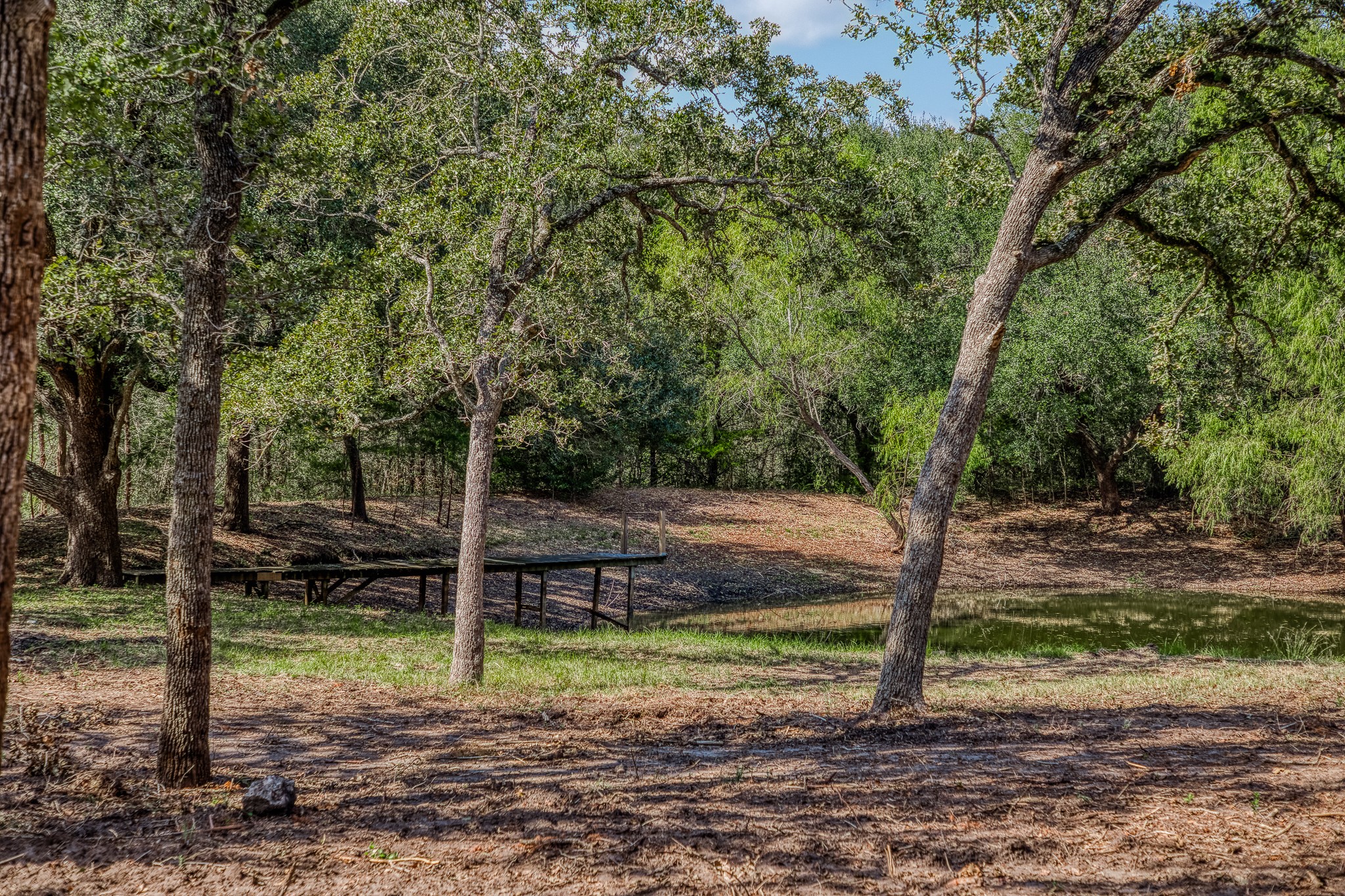 6 Sun Oil Road Brenham, TX 77833 - Photo 17 of 34 a view of a yard with a tree