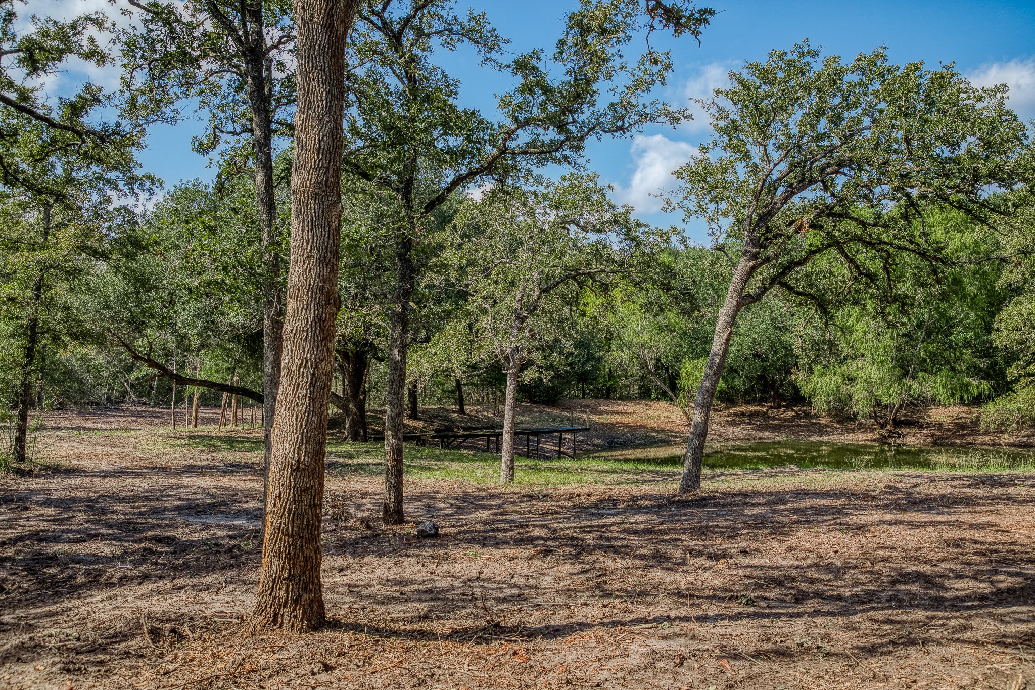 6 Sun Oil Road Brenham, TX 77833 - Photo 18 of 34 a backyard of a house with lots of green space
