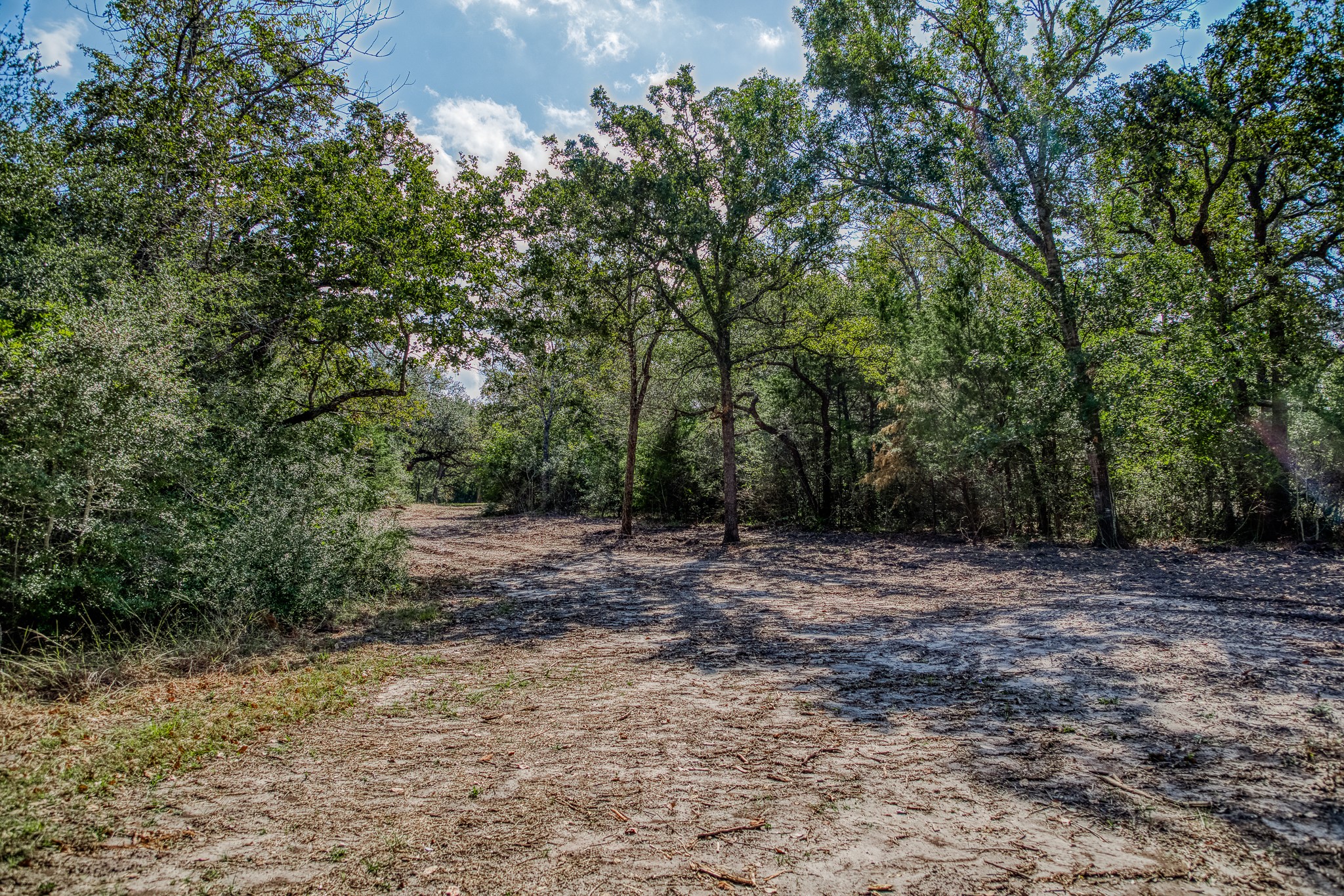 6 Sun Oil Road Brenham, TX 77833 - Photo 20 of 34 a view of a dry yard with trees