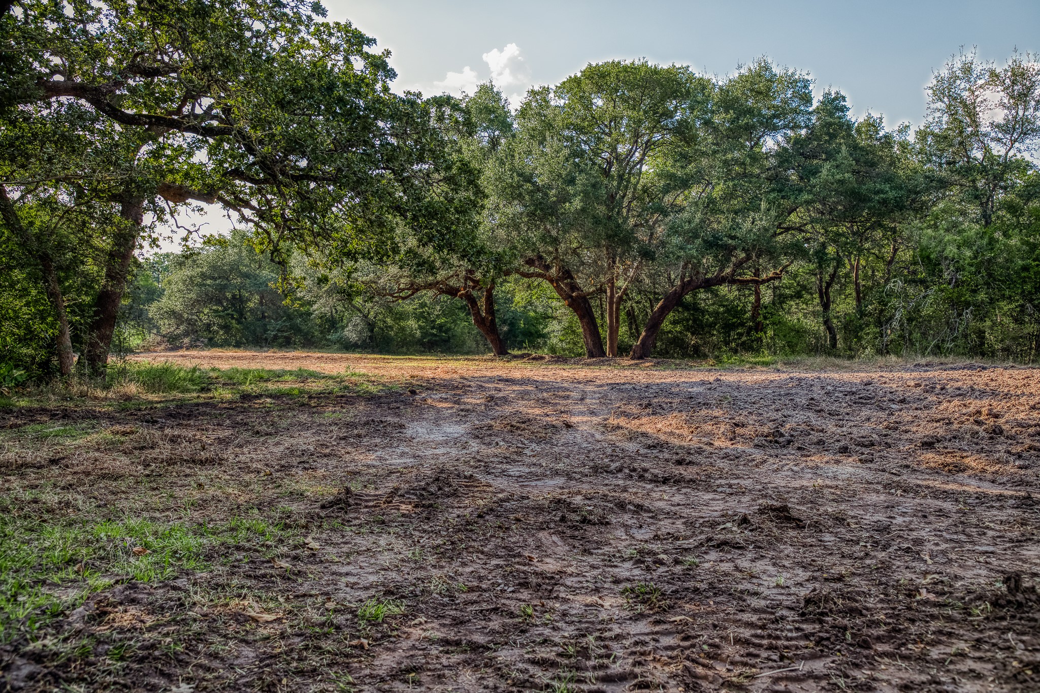 6 Sun Oil Road Brenham, TX 77833 - Photo 2 of 34 a view of outdoor space with trees