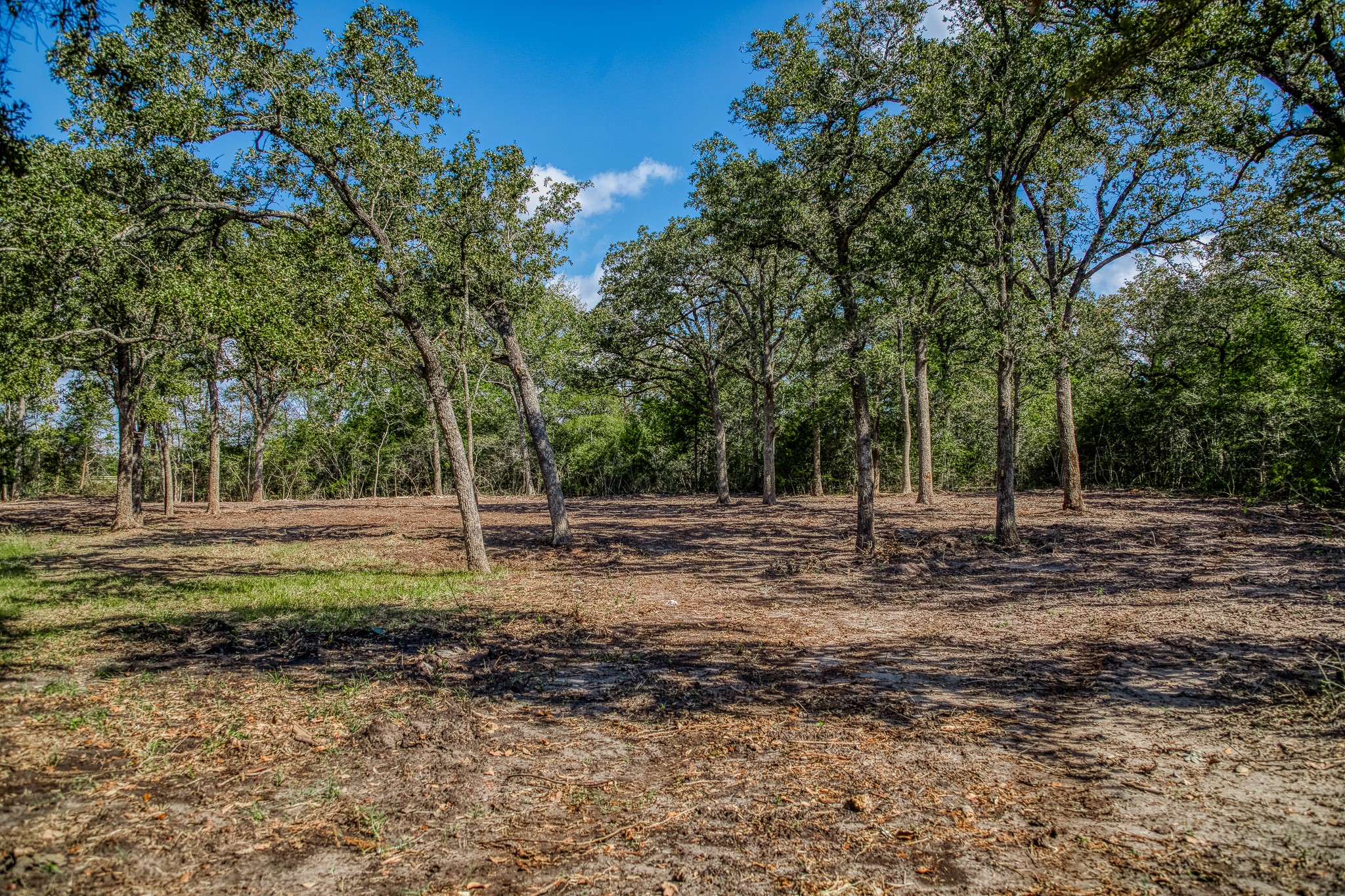 6 Sun Oil Road Brenham, TX 77833 - Photo 21 of 34 a backyard of a house with trees