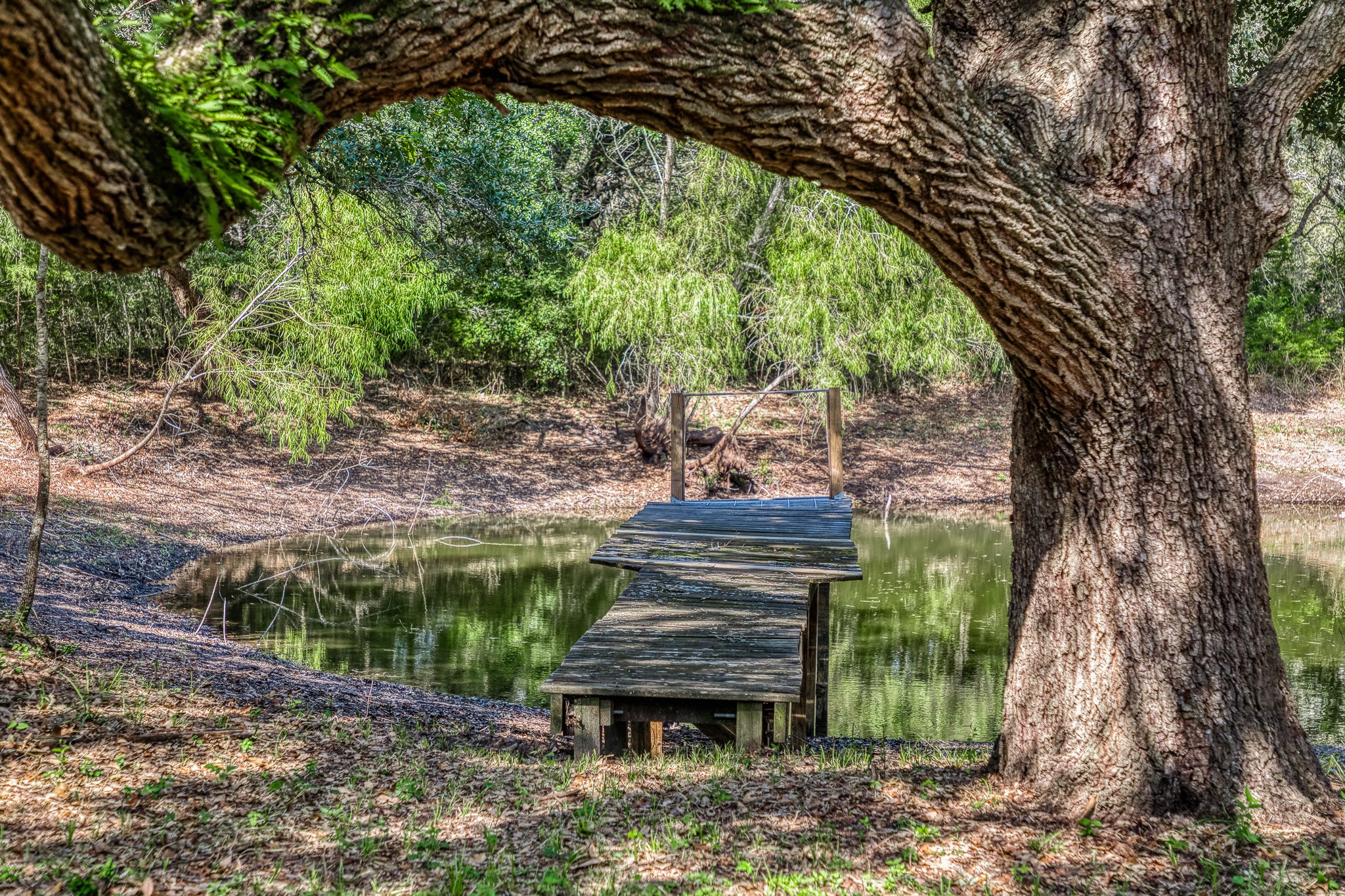 6 Sun Oil Road Brenham, TX 77833 - Photo 22 of 34 a view of a yard with a tree