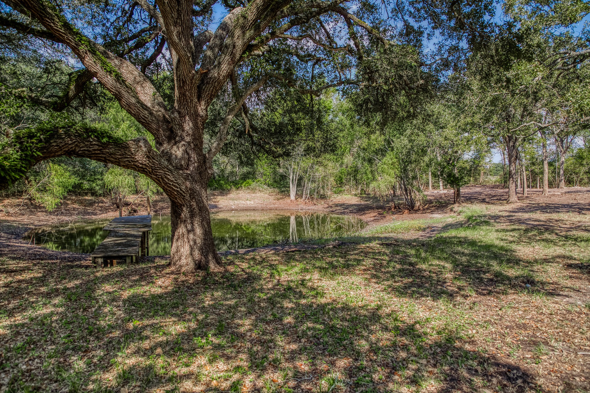 6 Sun Oil Road Brenham, TX 77833 - Photo 23 of 34 a backyard of a house with lots of green space