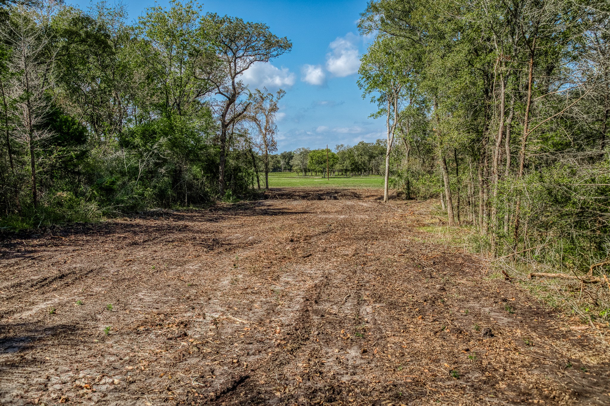 6 Sun Oil Road Brenham, TX 77833 - Photo 25 of 34 a view of a yard with trees