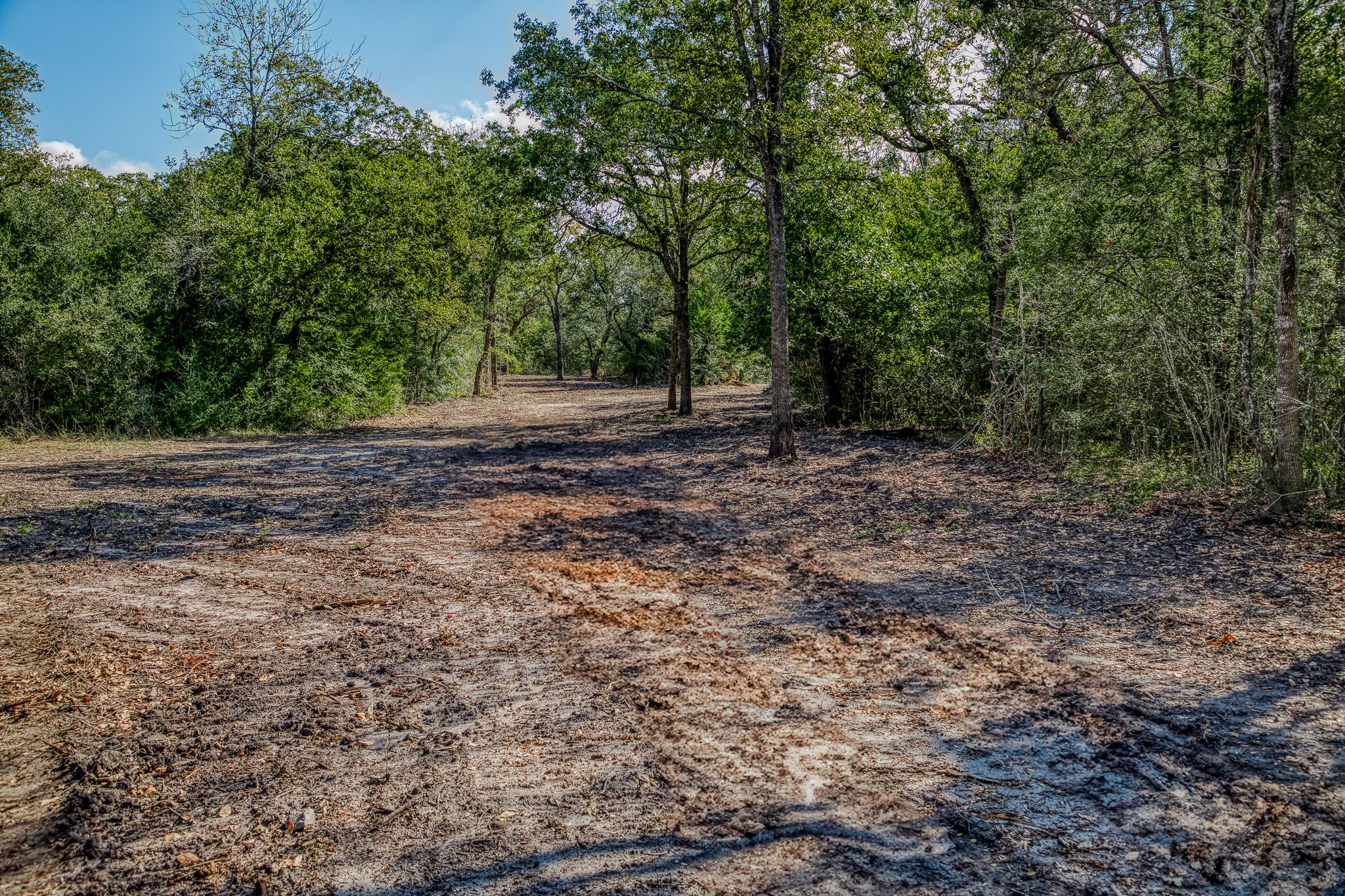 6 Sun Oil Road Brenham, TX 77833 - Photo 26 of 34 a view of a yard with plants and trees