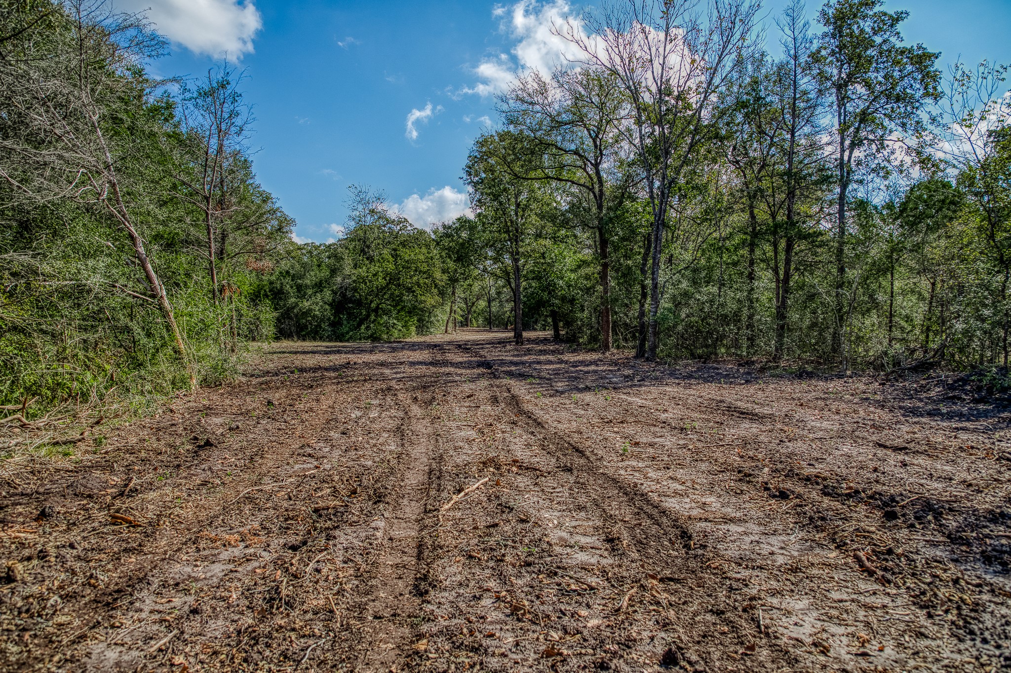 6 Sun Oil Road Brenham, TX 77833 - Photo 27 of 34 a view of outdoor space with large trees