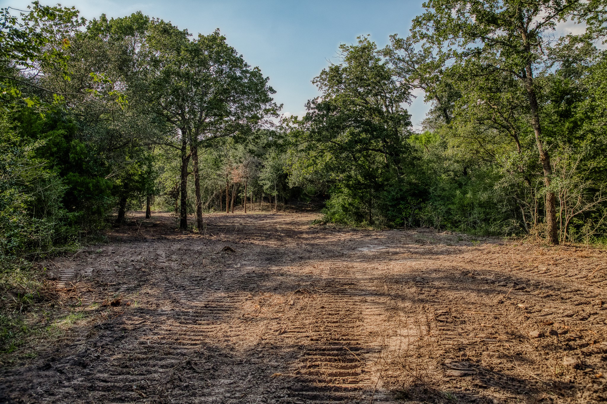 6 Sun Oil Road Brenham, TX 77833 - Photo 4 of 34 a view of outdoor space with trees