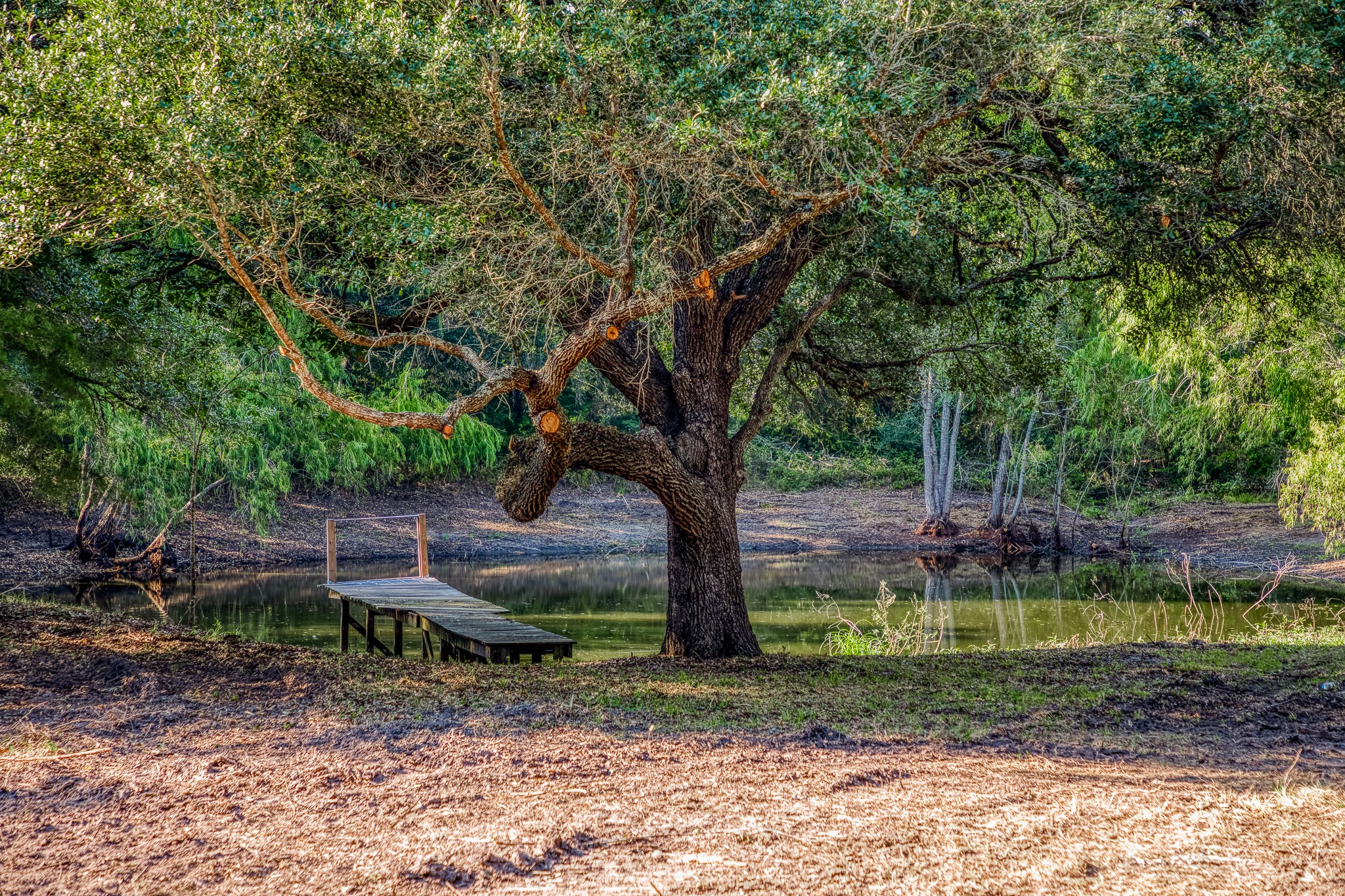 6 Sun Oil Road Brenham, TX 77833 - Photo 6 of 34 a backyard of a house with lots of green space
