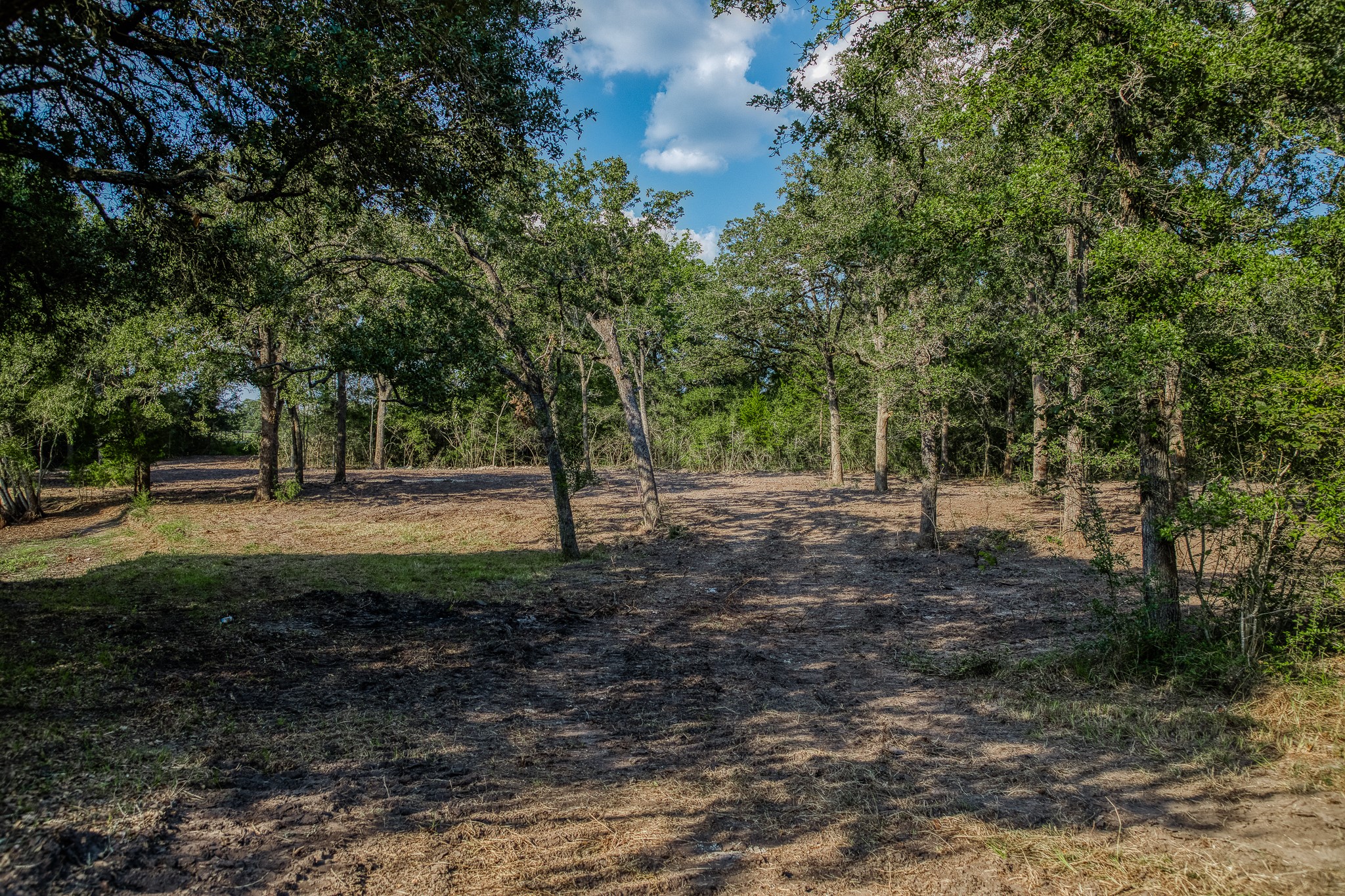 6 Sun Oil Road Brenham, TX 77833 - Photo 7 of 34 a view of outdoor space with trees