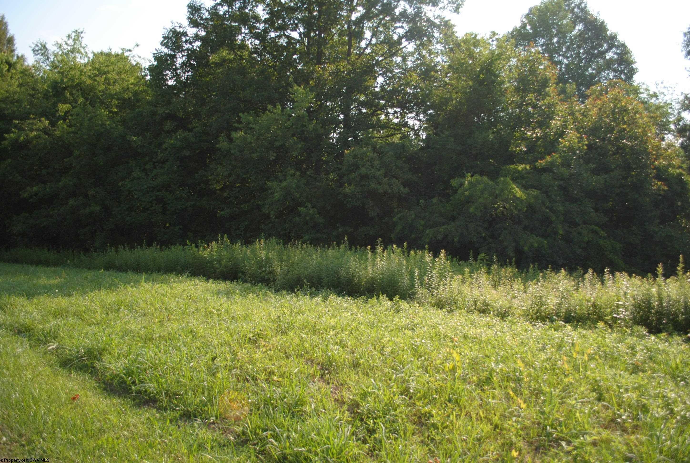 Tbd Rohrbough Street Belington, WV 26250 - Photo 7 of 20 Gallery Image 7