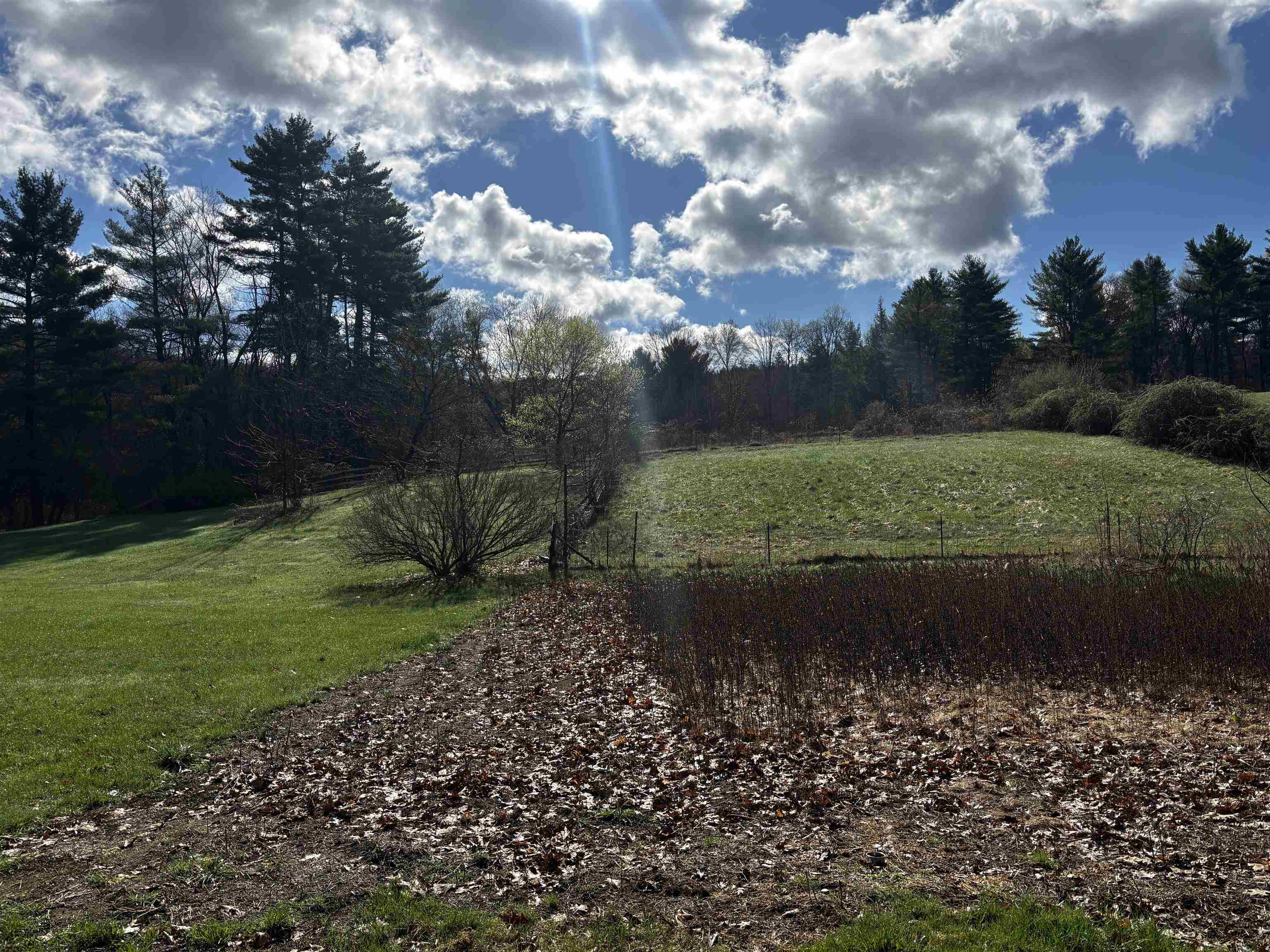 49 River Road Westmoreland, NH 03467 - Photo 18 of 21