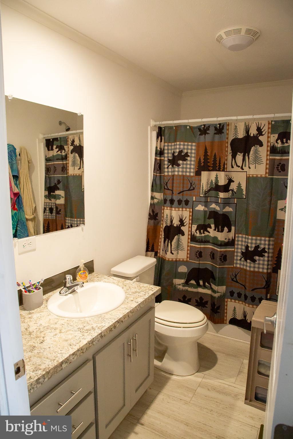 1101 Beaver Run Road Burlington, WV 26710 - Photo 19 of 40 a bathroom with a granite countertop sink a toilet and a mirror