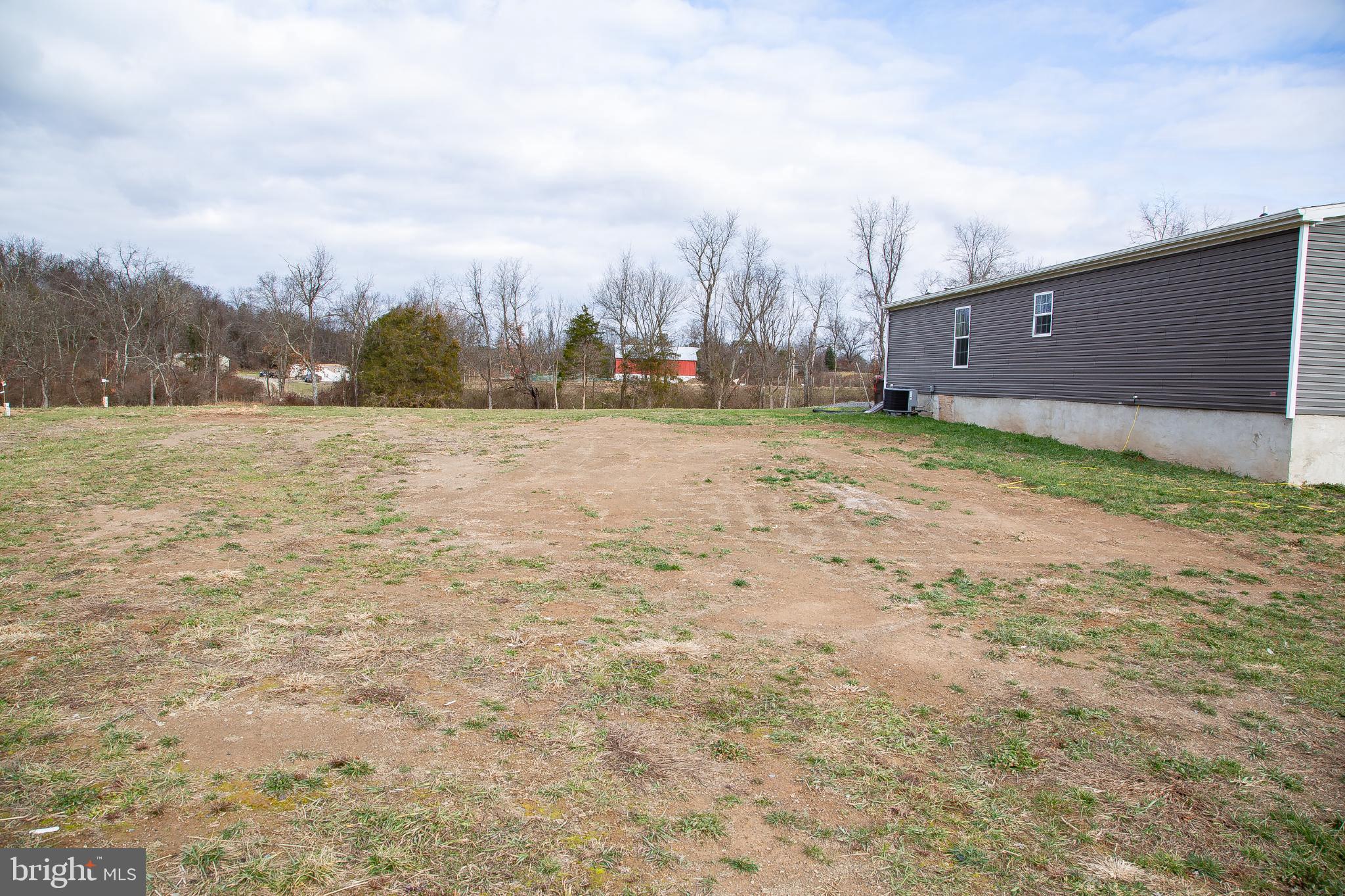 1101 Beaver Run Road Burlington, WV 26710 - Photo 31 of 40 a view of a yard with an trees