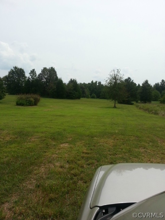 4825 Three Chopt Road Louisa, VA 23093 - Photo 3 of 4