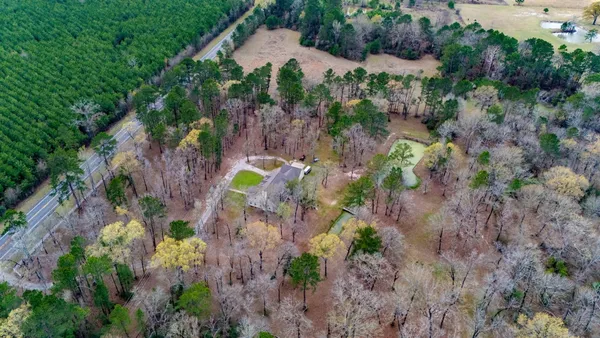 an aerial view of a house with a yard and greenery