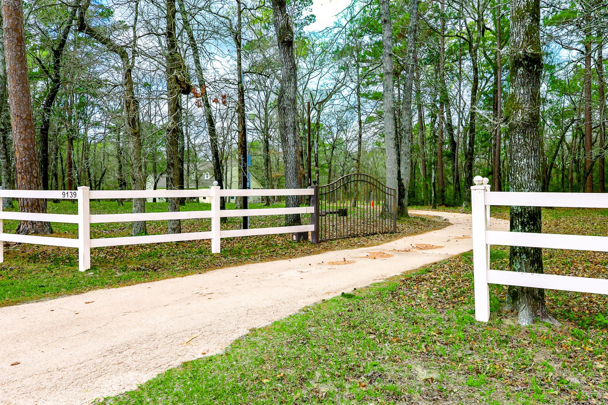 9139 Highway 94 Groveton, TX 75845 - Photo 43 of 49 a view of a park with large trees