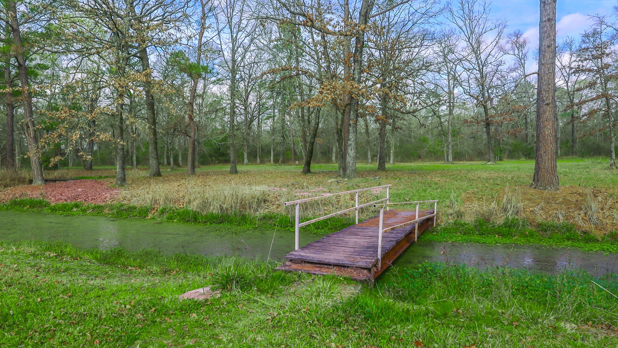 9139 Highway 94 Groveton, TX 75845 - Photo 8 of 49 a view of outdoor space with deck and trees