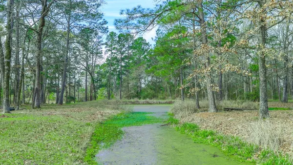 a view of outdoor space with green field and trees