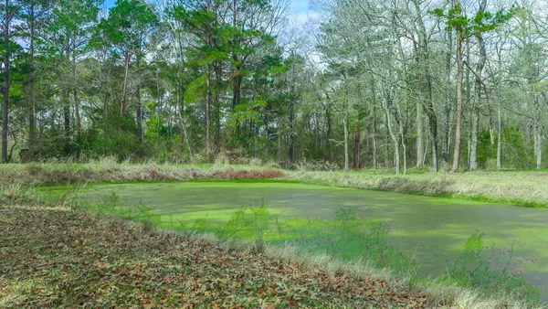 a view of outdoor space with deck and yard