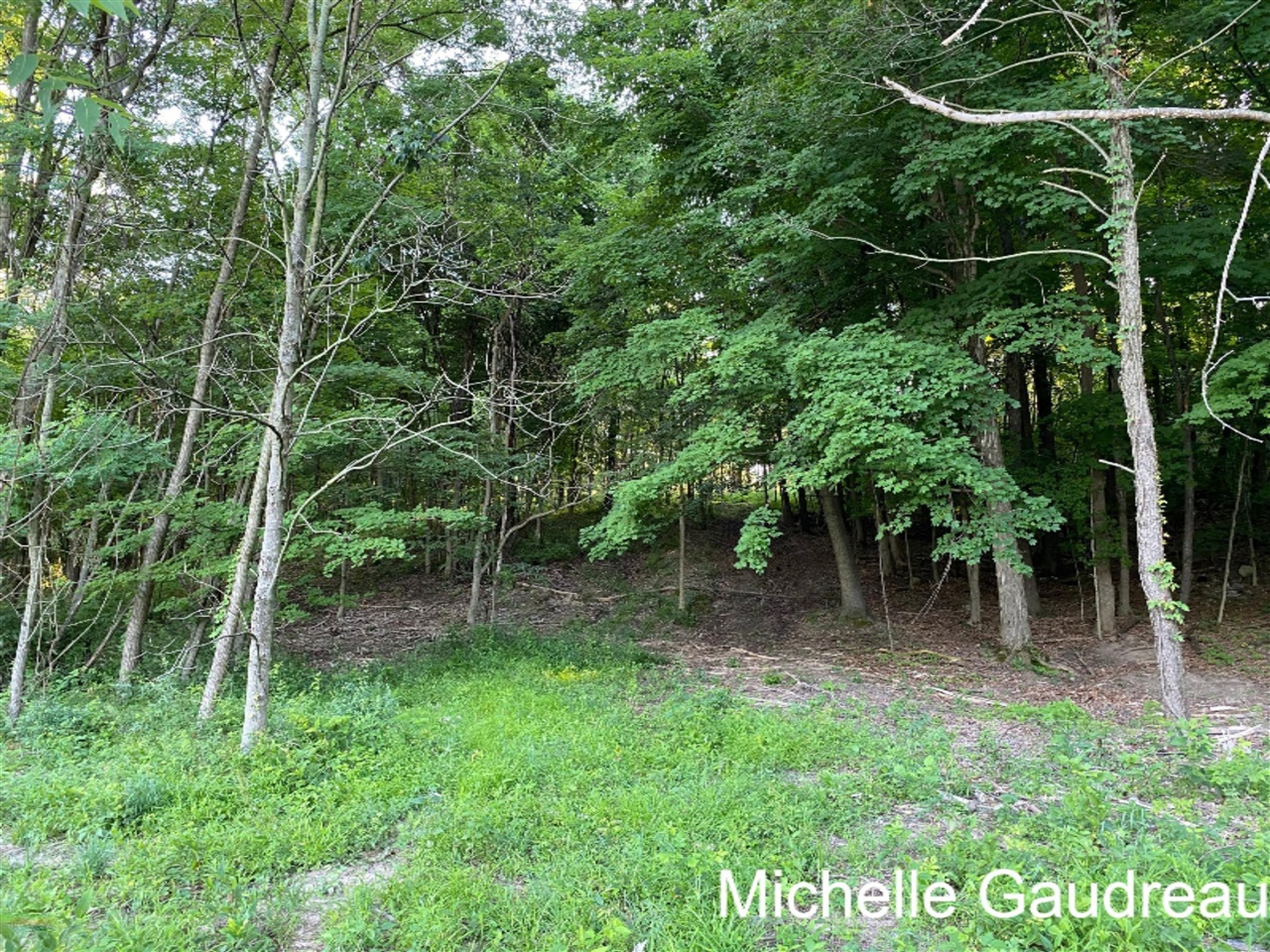 North N Ridge, Unit PARCEL 8 Middleville, MI 49333 - Photo 6 of 9