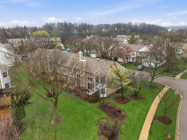 a view of a garden with mountains in the background