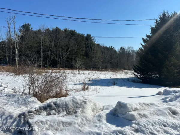 a view of a yard covered with snow in the yard