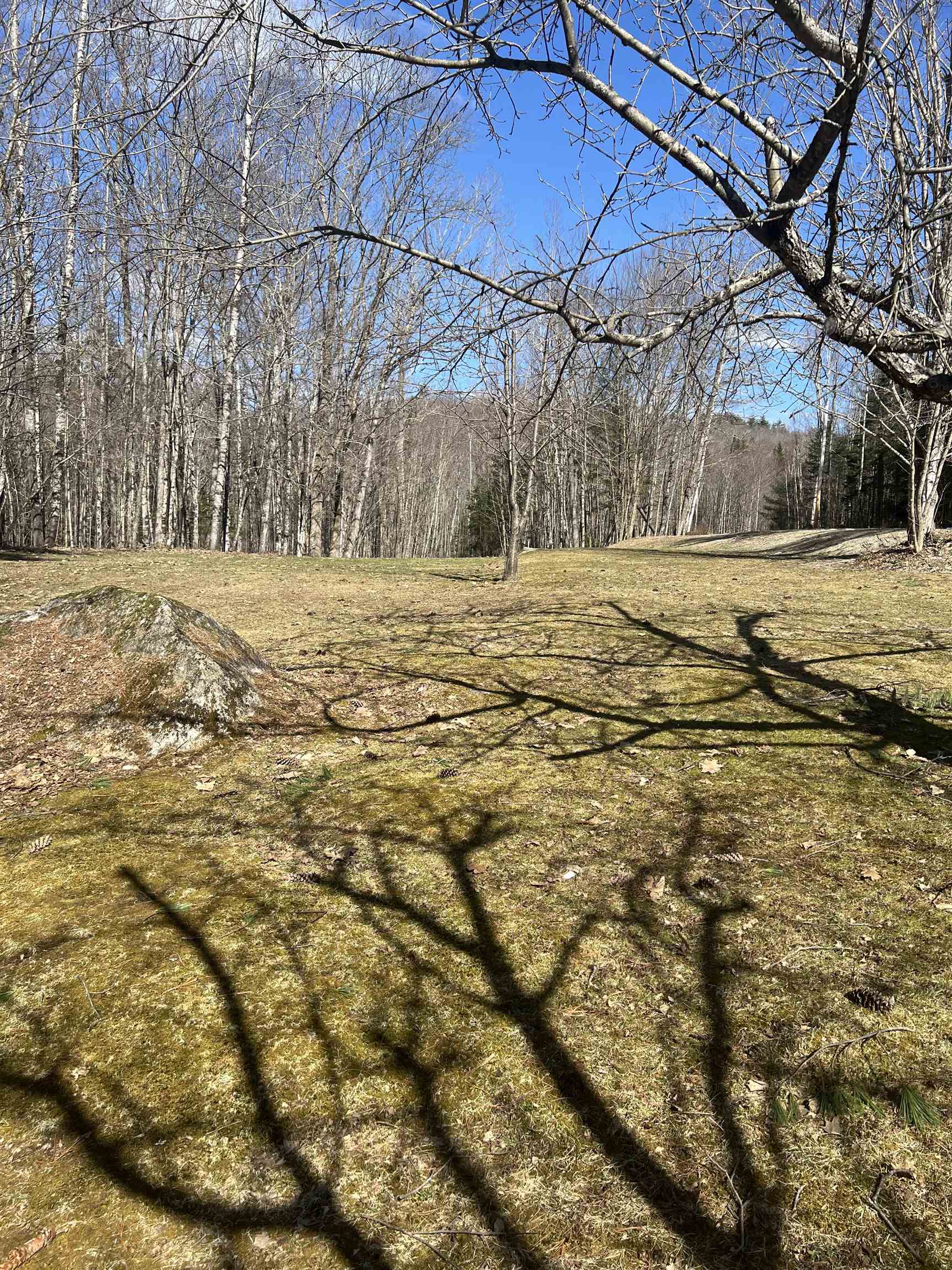0 Studio Road Warren, NH 03279 - Photo 1 of 12
