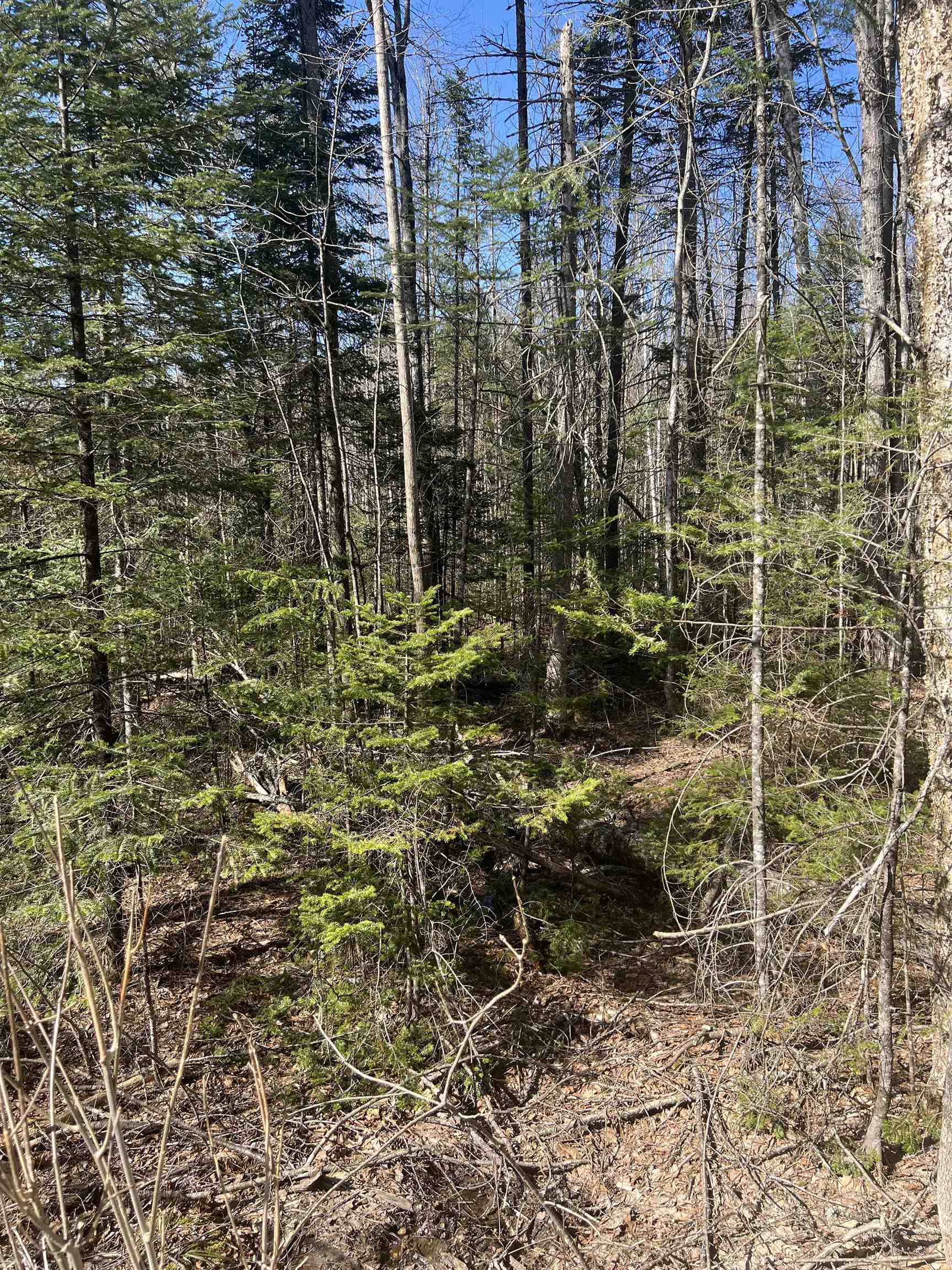 0 Studio Road Warren, NH 03279 - Photo 11 of 12