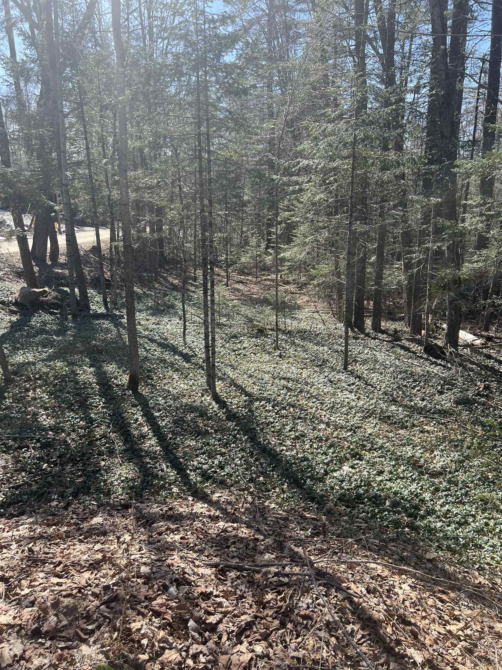 0 Studio Road Warren, NH 03279 - Photo 3 of 12