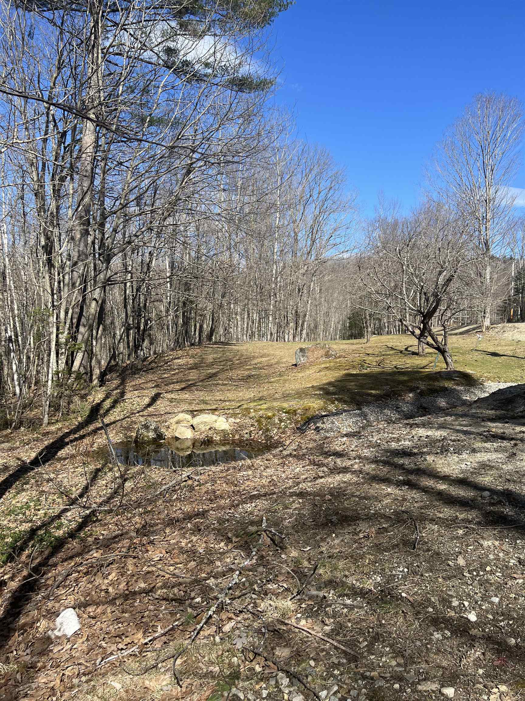 0 Studio Road Warren, NH 03279 - Photo 5 of 12