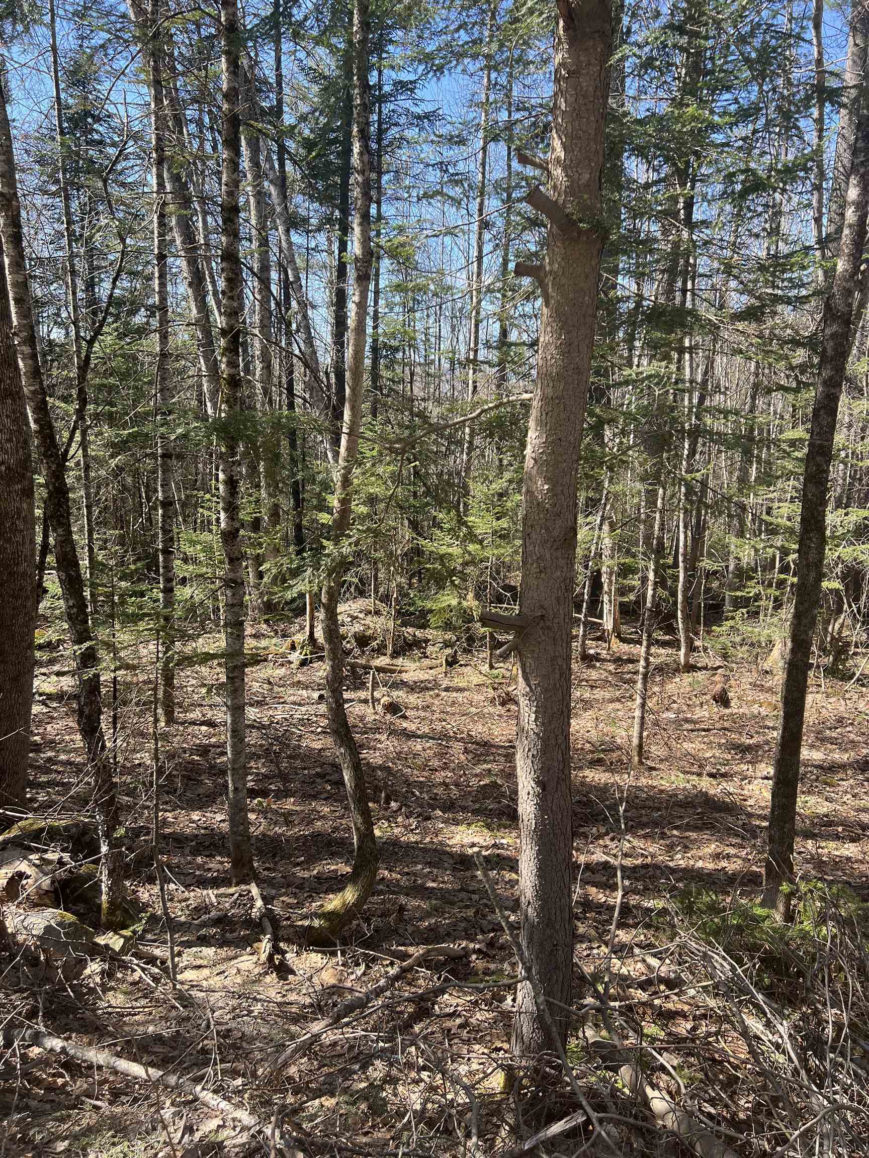0 Studio Road Warren, NH 03279 - Photo 10 of 12