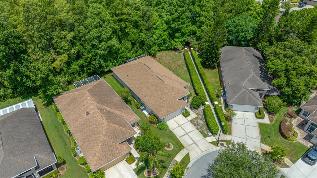 7740 Craighurst Loop Trinity, FL 34655 - Photo 60 of 65