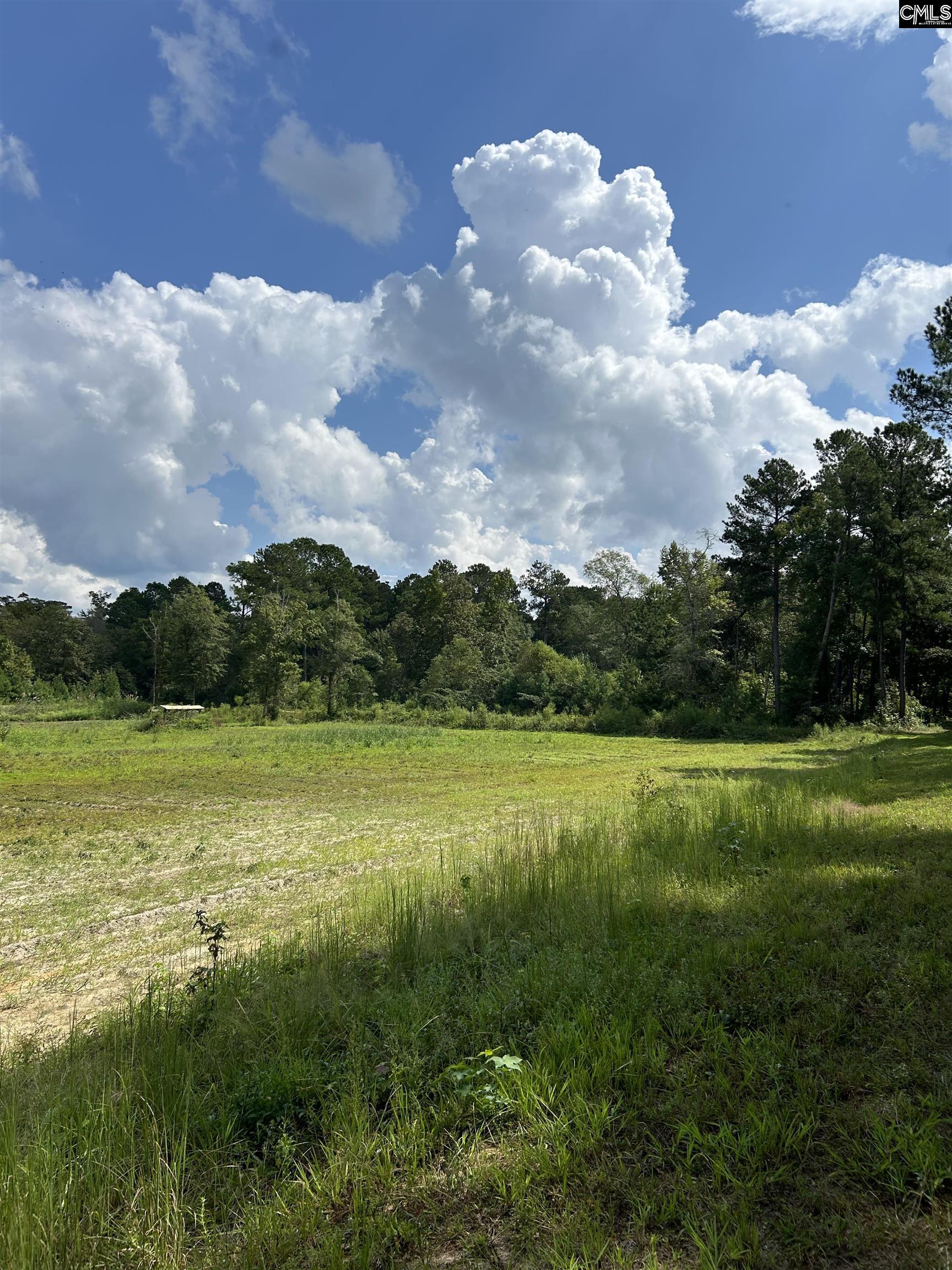 8200 Salem Road New Zion, SC 29111 - Photo 9 of 17