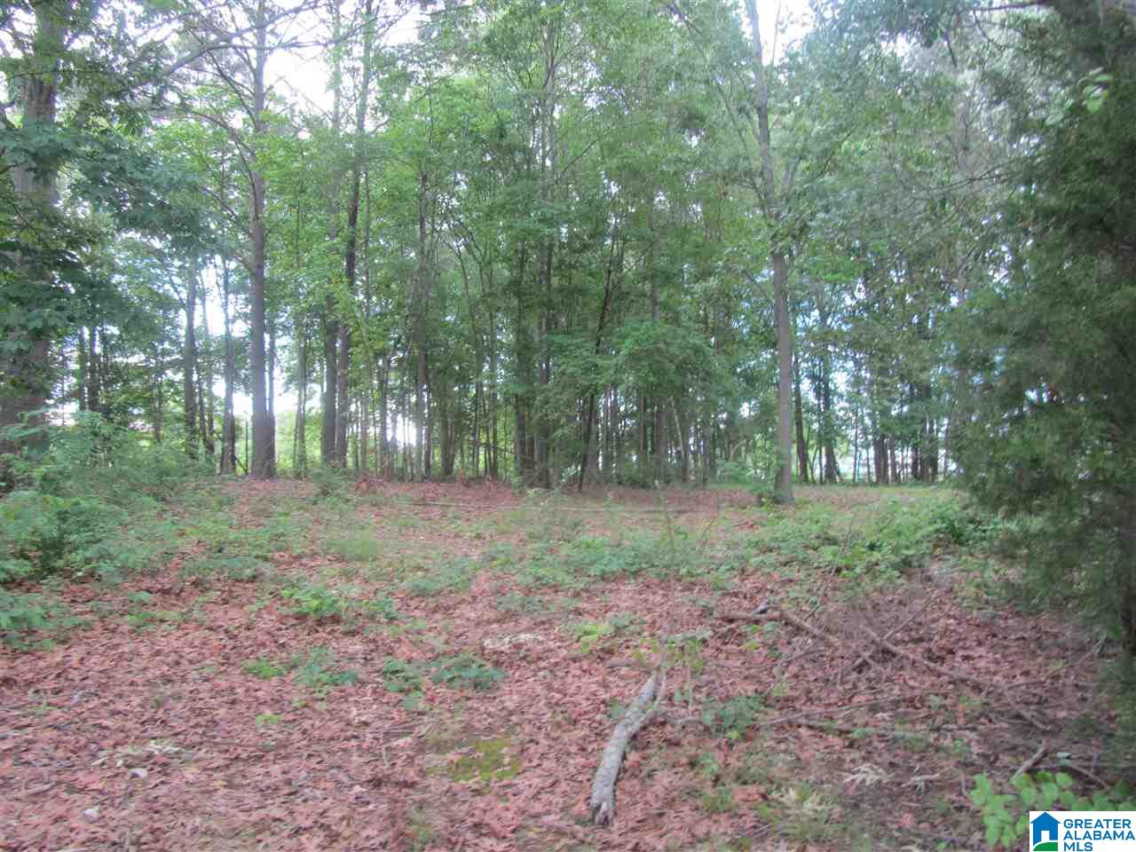 0 County Road 578, Unit 10 Centre, AL 35960 - Photo 10 of 15