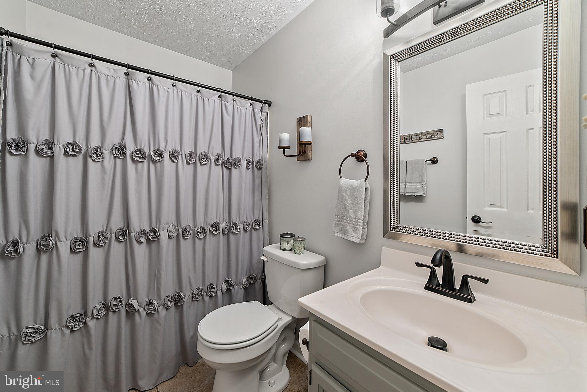 194 Hickory Nut Road Linden, VA 22642 - Photo 20 of 47 Owner's bath
